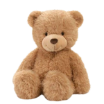 brown bear